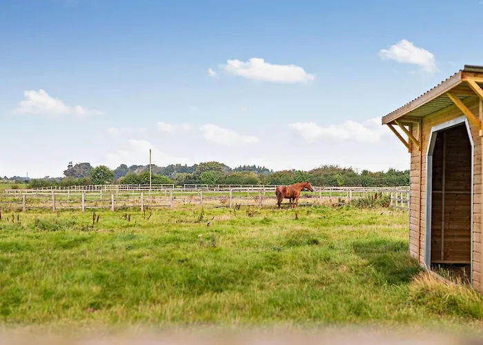 Vakantiehuis 3 Bed In Ripon Oc-93105