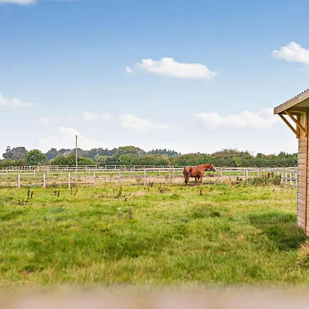 3 Bed In Ripon Oc-93105 * Studley Roger